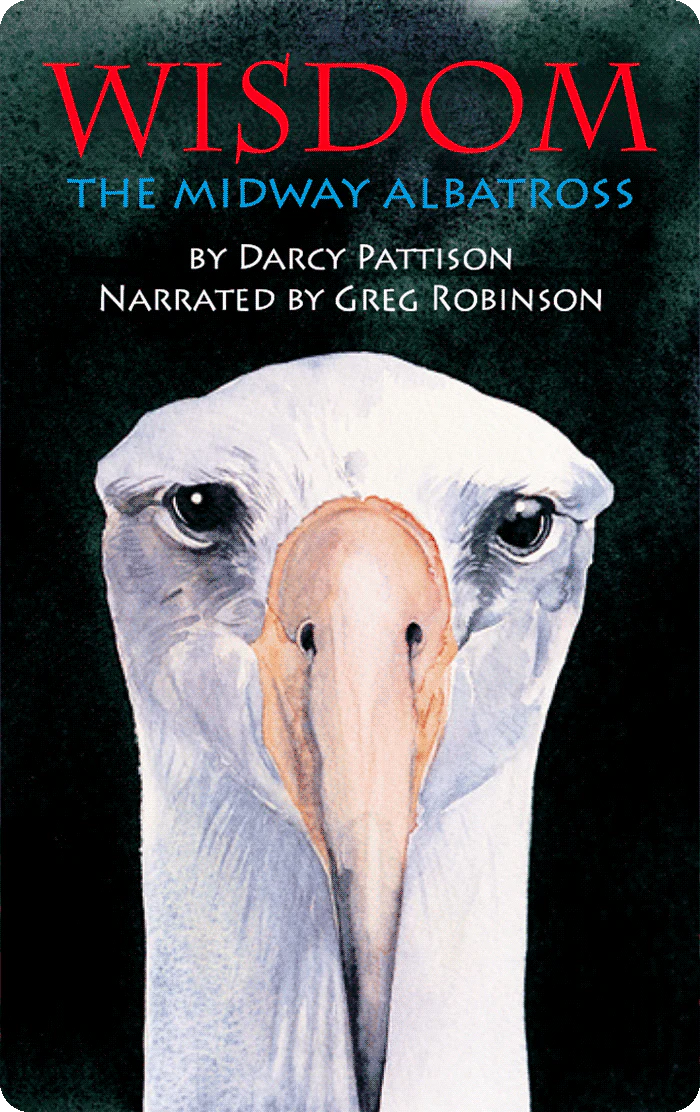 Wisdom, the Midway Albatross: Surviving the Japanese Tsunami and other Disasters for Over 60 Years (Digital)